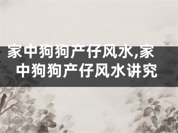 家中狗狗产仔风水,家中狗狗产仔风水讲究