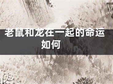 老鼠和龙在一起的命运如何 
