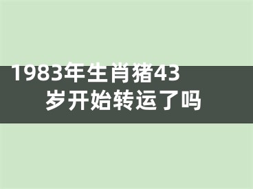 1983年生肖猪43岁开始转运了吗