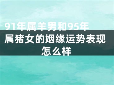 91年属羊男和95年属猪女的姻缘运势表现怎么样