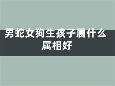男蛇女狗生孩子属什么属相好