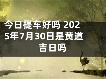 今日提车好吗 2025年7月30日是黄道吉日吗