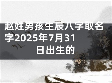 赵姓男孩生辰八字取名字2025年7月31日出生的