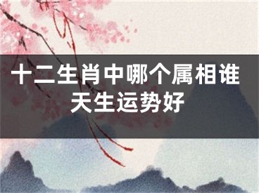 十二生肖中哪个属相谁天生运势好