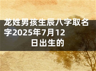 龙姓男孩生辰八字取名字2025年7月12日出生的