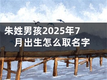 朱姓男孩2025年7月出生怎么取名字