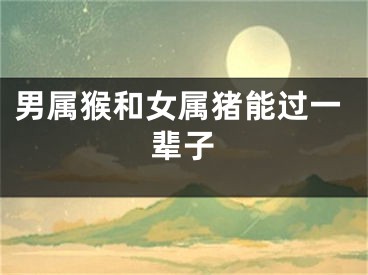 男属猴和女属猪能过一辈子