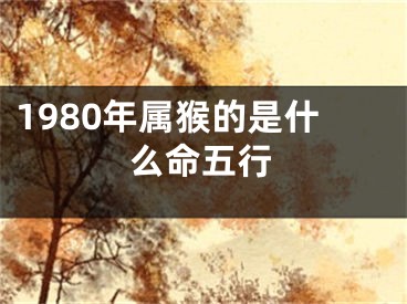 1980年属猴的是什么命五行