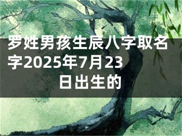 罗姓男孩生辰八字取名字2025年7月23日出生的