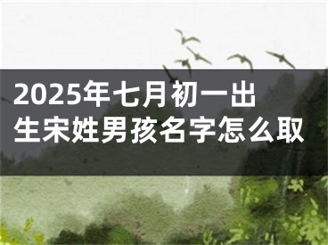 2025年七月初一出生宋姓男孩名字怎么取