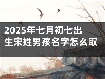2025年七月初七出生宋姓男孩名字怎么取