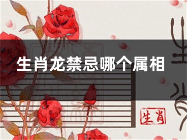 生肖龙禁忌哪个属相