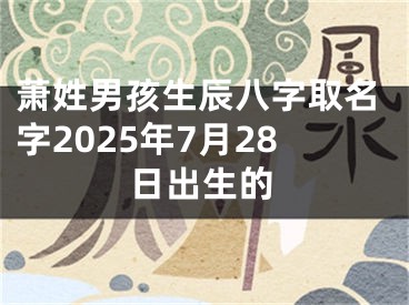 萧姓男孩生辰八字取名字2025年7月28日出生的