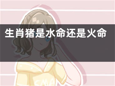 生肖猪是水命还是火命 