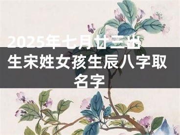 2025年七月廿三出生宋姓女孩生辰八字取名字