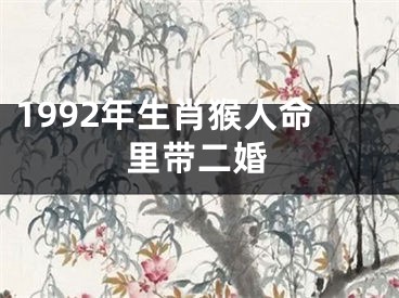 1992年生肖猴人命里带二婚