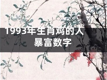 1993年生肖鸡的人暴富数字