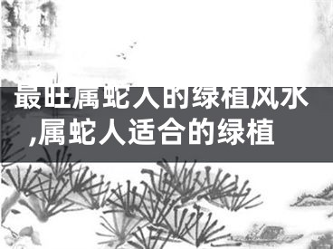 最旺属蛇人的绿植风水,属蛇人适合的绿植