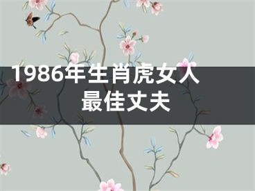 1986年生肖虎女人最佳丈夫