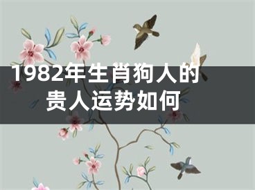 1982年生肖狗人的贵人运势如何 