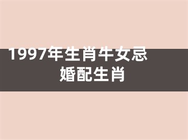 1997年生肖牛女忌婚配生肖