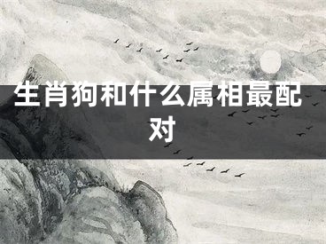生肖狗和什么属相最配对
