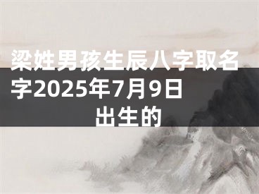 梁姓男孩生辰八字取名字2025年7月9日出生的