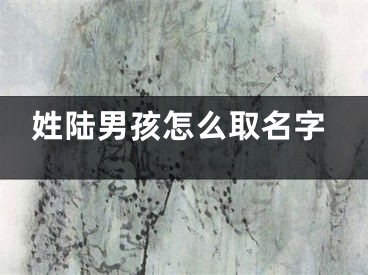 姓陆男孩怎么取名字