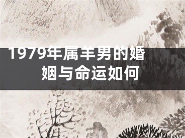 1979年属羊男的婚姻与命运如何