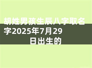 胡姓男孩生辰八字取名字2025年7月29日出生的