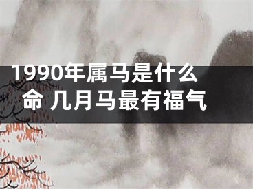 1990年属马是什么命 几月马最有福气
