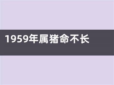 1959年属猪命不长