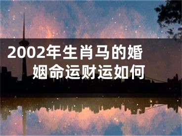 2002年生肖马的婚姻命运财运如何