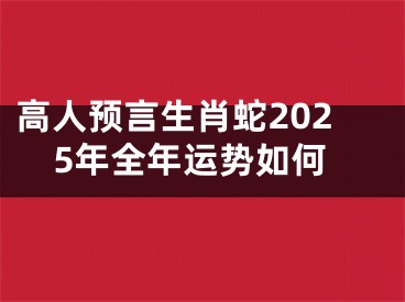 高人预言生肖蛇2025年全年运势如何