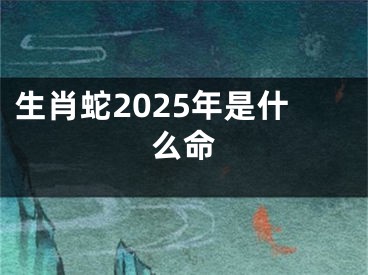 生肖蛇2025年是什么命