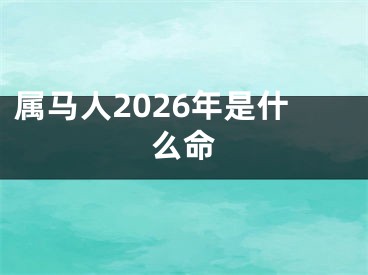 属马人2026年是什么命