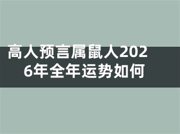 高人预言属鼠人2026年全年运势如何