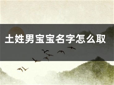 土姓男宝宝名字怎么取