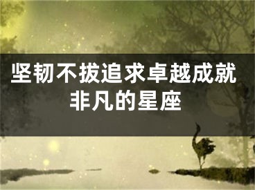 坚韧不拔追求卓越成就非凡的星座