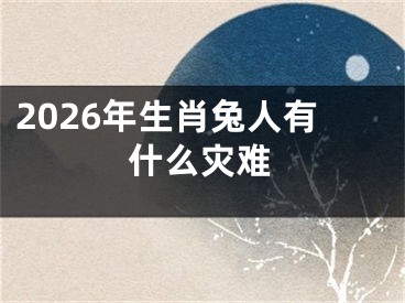 2026年生肖兔人有什么灾难