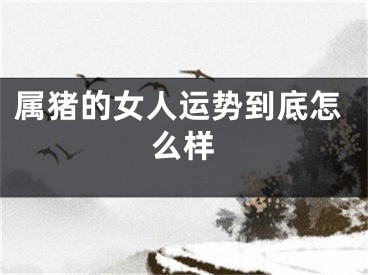 属猪的女人运势到底怎么样