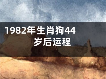 1982年生肖狗44岁后运程