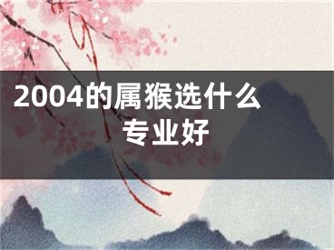 2004的属猴选什么专业好