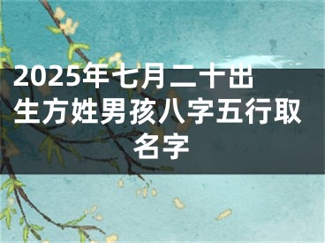 2025年七月二十出生方姓男孩八字五行取名字