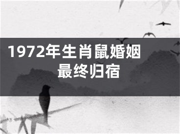1972年生肖鼠婚姻最终归宿