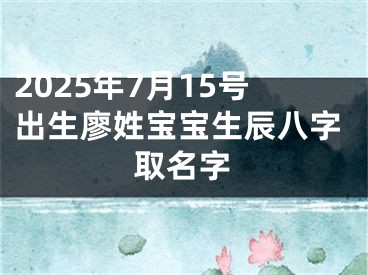 2025年7月15号出生廖姓宝宝生辰八字取名字