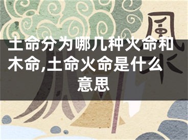 土命分为哪几种火命和木命,土命火命是什么意思