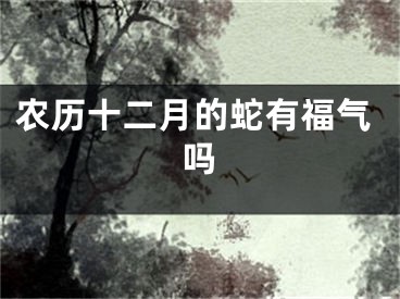 农历十二月的蛇有福气吗