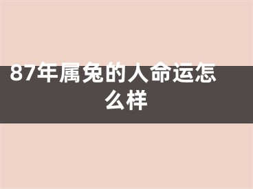 87年属兔的人命运怎么样