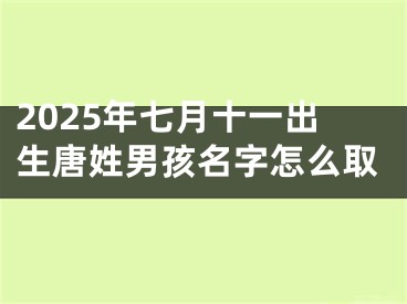 2025年七月十一出生唐姓男孩名字怎么取